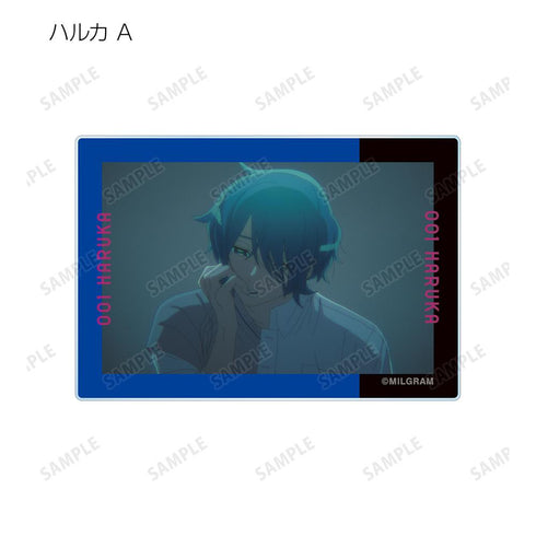 『MILGRAM -ミルグラム-』トレーディング MV アクリルカード ハルカ『全知全悩』(単位/BOX)【202601再販】