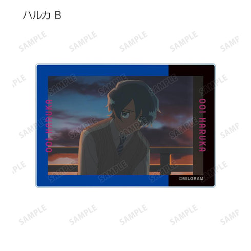 『MILGRAM -ミルグラム-』トレーディング MV アクリルカード ハルカ『全知全悩』(単位/BOX)【202601再販】