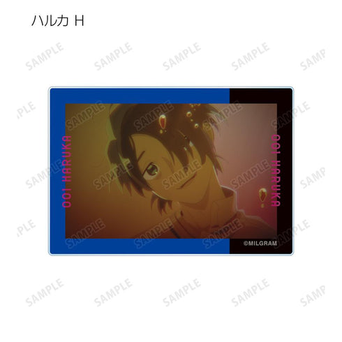 『MILGRAM -ミルグラム-』トレーディング MV アクリルカード ハルカ『全知全悩』(単位/BOX)【202601再販】