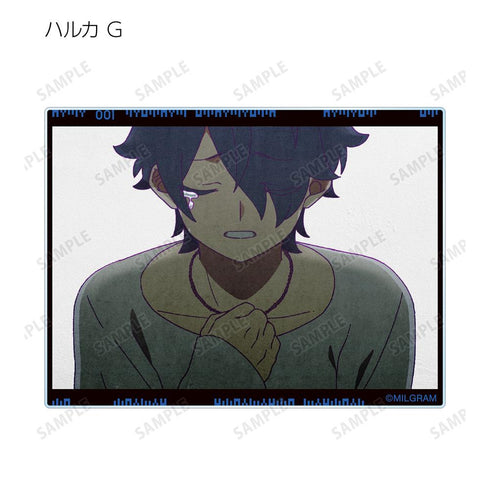 『MILGRAM -ミルグラム-』トレーディング MV アクリルカード ハルカ 『弱肉共食』(単位/BOX)【202601再販】