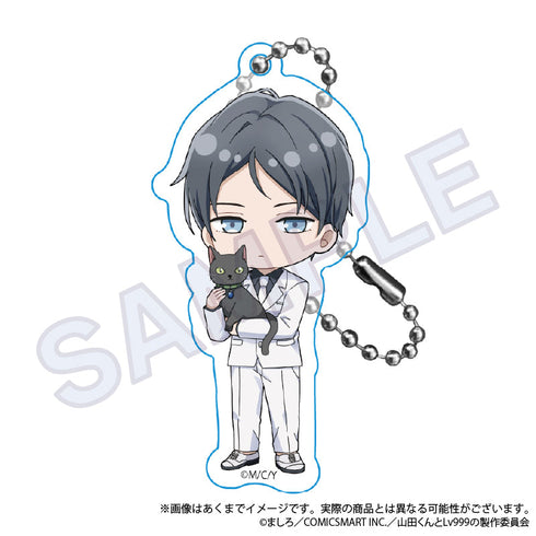 『山田くんとLv999の恋をする』トレーディングアクリルキーホルダー ニャンコーデVer.【BOX】