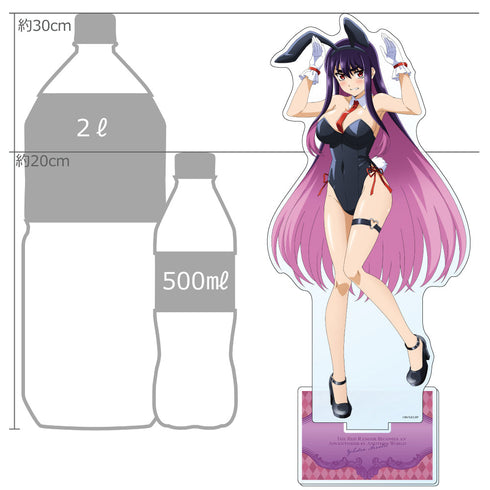 『戦隊レッド 異世界で冒険者になる』アニメ描き下ろし特大アクリルスタンド (イドラ・アーヴォルン/バニー)