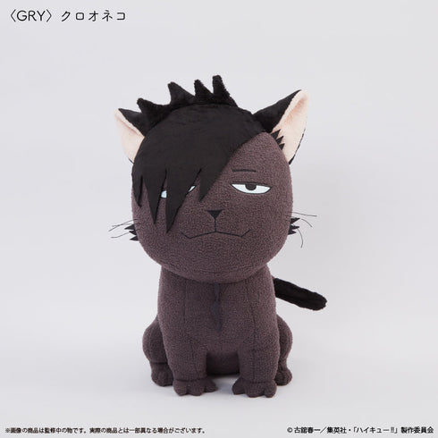 『ハイキュー!!』クッション クロオネコ