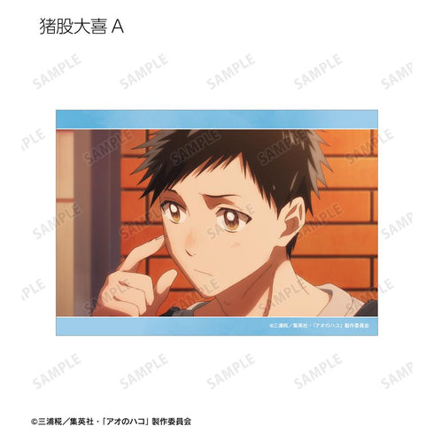 『アオのハコ』トレーディング場面写ブロマイド3枚セット(単位/BOX)【202602再販】