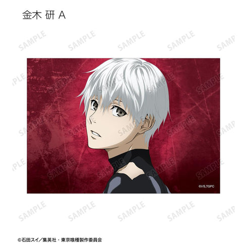 『東京喰種トーキョーグール』描き下ろし 戦う背中ver. トレーディングブロマイド(単位/BOX)