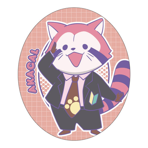 『あらいぐま カルカル団』マシュモクッション アカカル