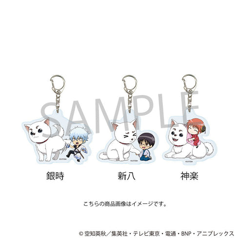 『銀魂』アクリルキーホルダー 定春お手入れver.(新八)