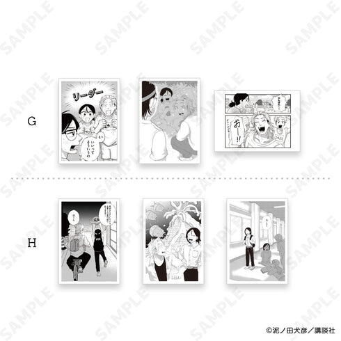 『君と宇宙を歩くために』フォトカコレクション【BOX】