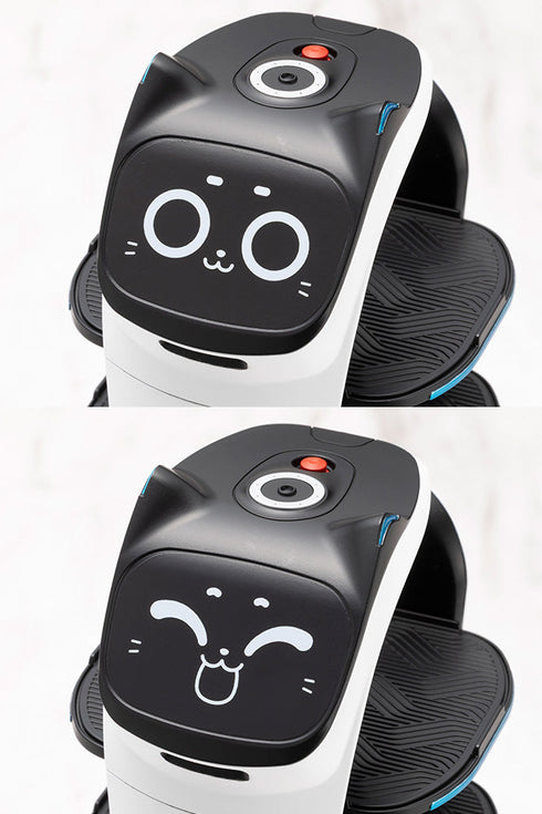 『PUDU』グランデスケール ベラボット