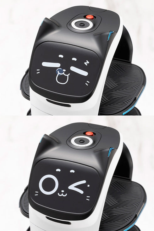 『PUDU』グランデスケール ベラボット