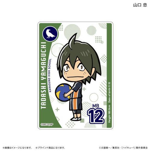 『ハイキュー!!』アクリルカード(ブラインド) 全10種 ※BOX用【202412再販】