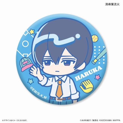 『忘却バッテリー』はいたっちず 缶バッジ(ブラインド)全9種 忘却バッテリー※セットBOX