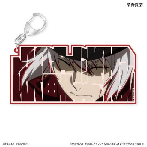 『文豪ストレイドッグス』文豪ストレイドッグス 特大ネームアクリルキーホルダー 条野採菊