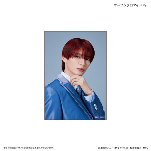 『熱愛プリンス』熱愛プリンス ブロマイド 梓