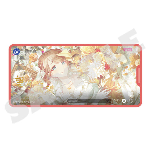 『プロジェクトセカイ カラフルステージ! feat.初音ミク』メモステコレクション Vol.4 B(全40種+レア)【BOX】