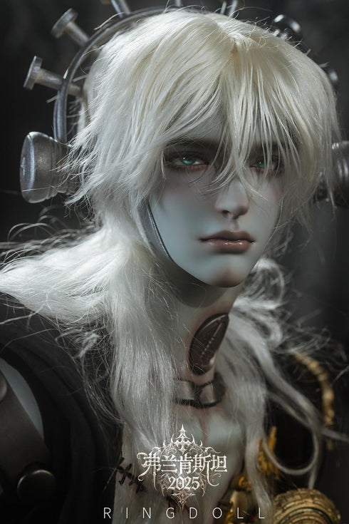 『Science Fantasy(サイエンスファンタジー)シリーズ』001_Ringdoll フランケンシュタイン 76cmボールジョイントドール(BJD)