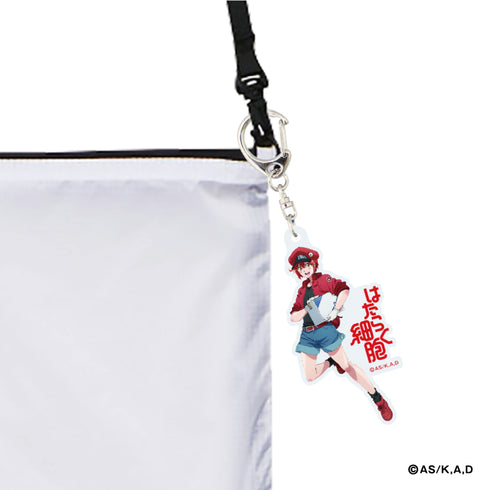 『はたらく細胞』アクリルキーホルダー<一般細胞&乳酸菌>