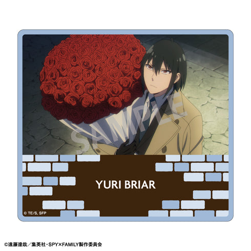 『SPY×FAMILY』トレーディングスクエアクリアカード BOX