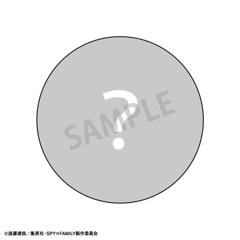 『SPY×FAMILY』トレーディング缶バッジ 第二弾 BOX