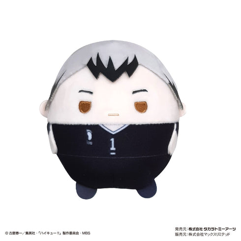 『ハイキュー!!』ふわコロりん BOX