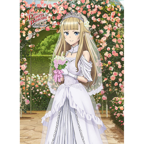 『プリンセス・プリンシパル Crown Handler』描き下ろしB2タペストリー (プリンセス/ウエディング)
