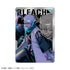 『BLEACH 千年血戦篇』Picharm/おっこち&カミアニTOUCH【BOX】