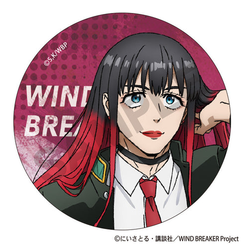 『WIND BREAKER』トレーディング缶バッジ【BOX】