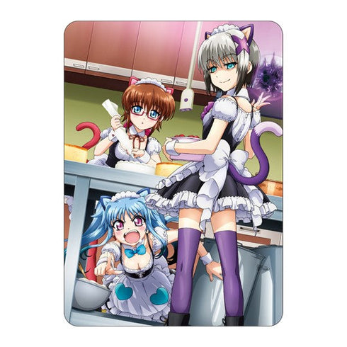 『魔法少女リリカルなのはシリーズ』トレーディングカード【BOX】