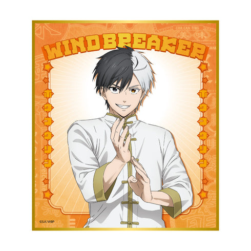 『WINDBREAKER』WIND BREAKER トレーディングミニ色紙 カンフー【BOX】