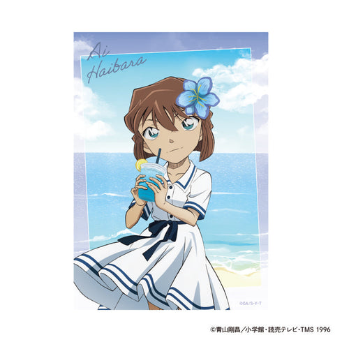 『名探偵コナン』クリアフォトカードセット Seaside