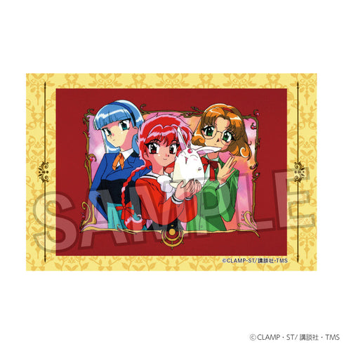 『魔法騎士レイアース』スタパネ ミニ 17【202501再販】