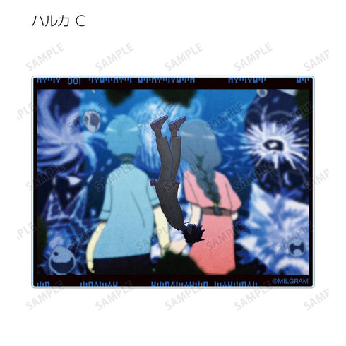 『MILGRAM -ミルグラム-』トレーディング MV アクリルカード ハルカ 『弱肉共食』(単位/BOX)【202601再販】