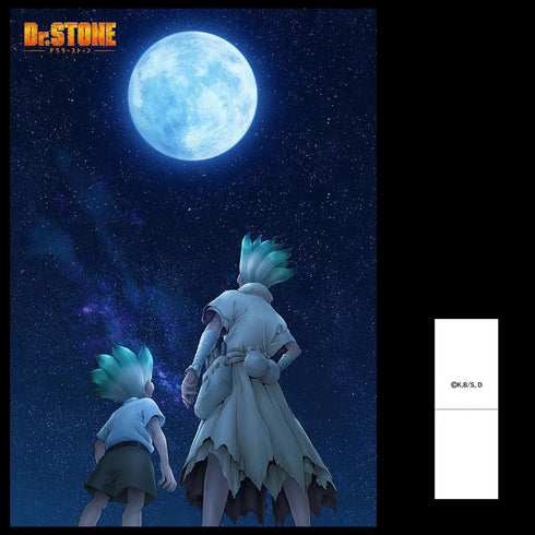 『Dr.STONE』Tシャツ(ティザービジュアル)