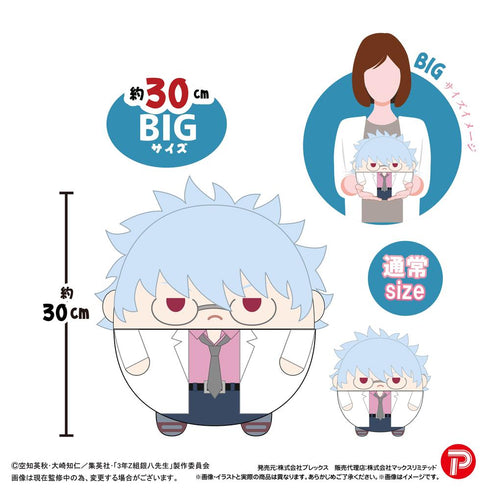 『3年Z組銀八先生』GT-26 ふわコロりんBIG A 坂田銀八