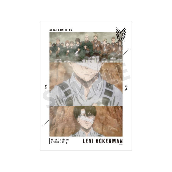 『進撃の巨人』リヴァイ 場面写A3マット加工ポスター vol.3【202601再販】