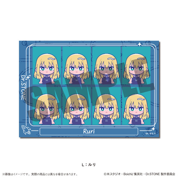 『Dr.STONE』IDフォトステッカー にゅーとろ L ルリ