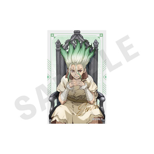 『Dr.STONE』トレーディングカード (全10種)【BOX】