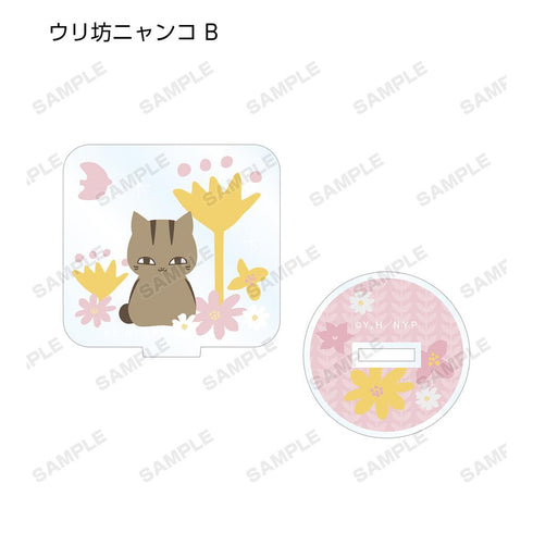 『夏目友人帳』トレーディング NordiQ アクリルスタンド(単位/BOX)【202602再販】