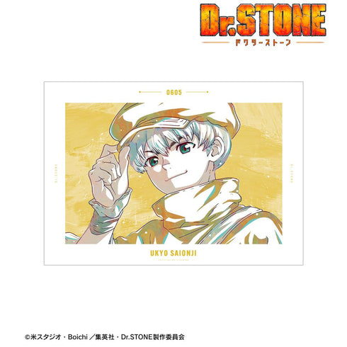 『Dr.STONE』西園寺羽京 Ani-Art 第3弾 A3マット加工ポスター