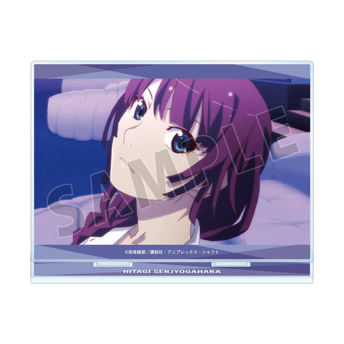 『〈物語〉シリーズ』戦場ヶ原ひたぎ 場面写BIGアクリルスタンド