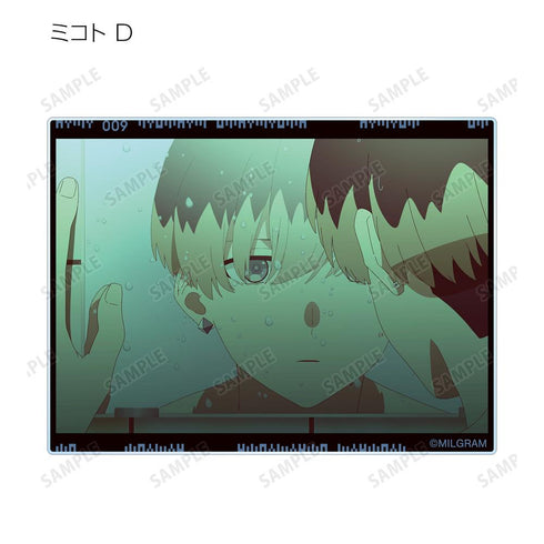 『MILGRAM -ミルグラム-』トレーディング MV アクリルカード ミコト 『MeMe』(単位/BOX)【202601再販】