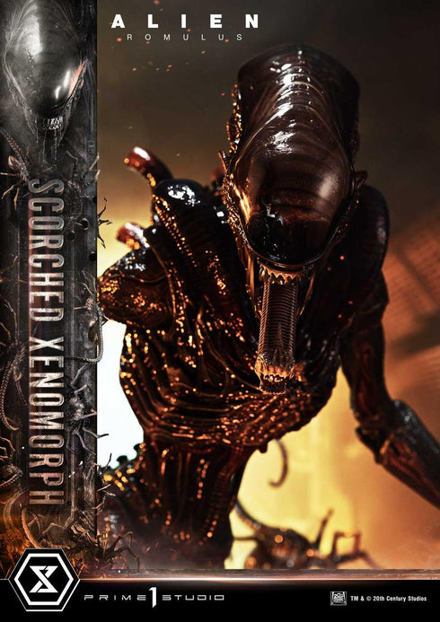 『エイリアン:ロムルス』ミュージアムマスターライン XL スコーチド ゼノモーフ