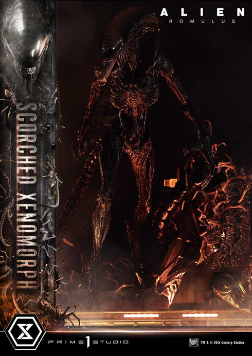『エイリアン:ロムルス』ミュージアムマスターライン XL スコーチド ゼノモーフ