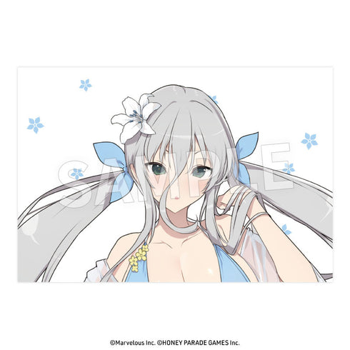 『閃乱カグラ』枕カバー 閃光Ver.