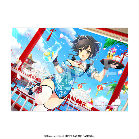 『閃乱カグラ』2L判ブロマイド Vol.4【BOX】