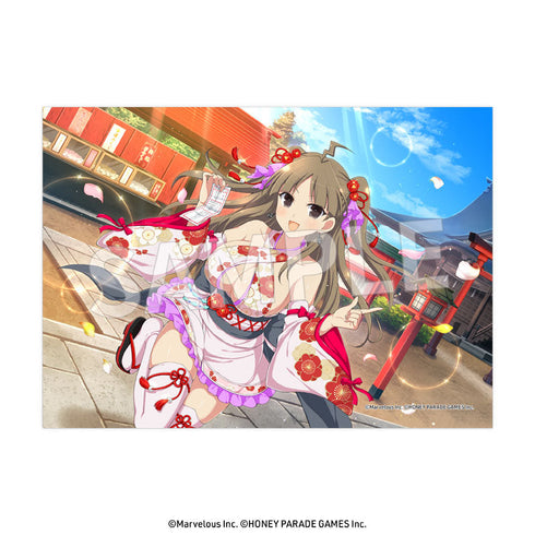 『閃乱カグラ』2L判ブロマイド Vol.4【BOX】