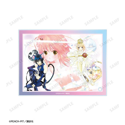 『しゅごキャラ!』A6アクリルパネル ver.D【202601再販】