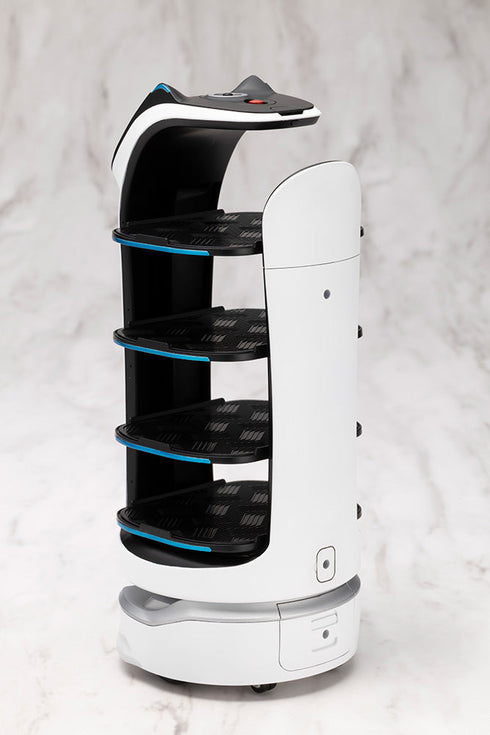 『PUDU』グランデスケール ベラボット