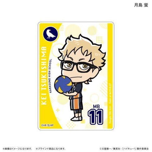 『ハイキュー!!』アクリルカード(ブラインド) 全10種 ※BOX用【202412再販】