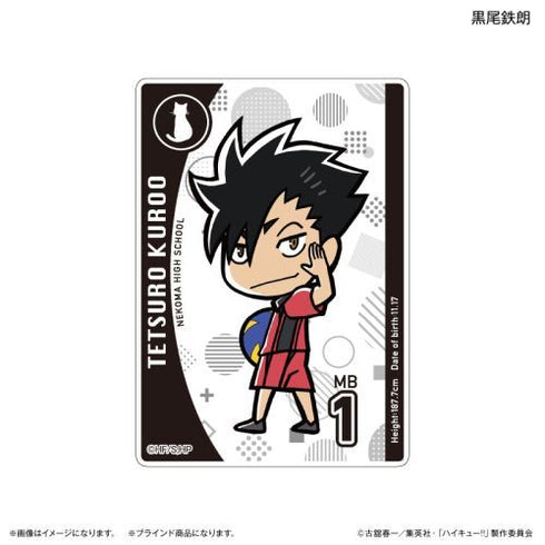 『ハイキュー!!』アクリルカード(ブラインド) 全10種 ※BOX用【202412再販】